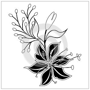 Floral element ornamental decorative vector ilustrationFloral element ornamental decorative vector ilustrationFloral element ornam