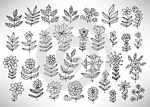 Big set of hand drawn thin line black grungy  doodle floral icons, branches, plants, petals, fantasy flowers.