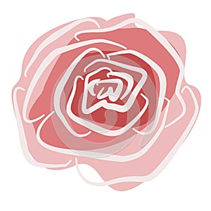 Floral element in the style of line art on a white background. Pink and red rose bud