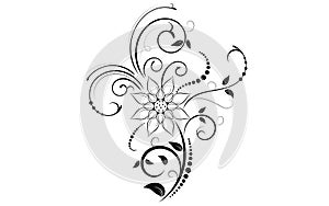 Floral elements design, luxury ornamental graphic element border, swirls flowers,foliage swirl decorative design for page
