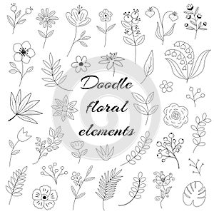 Floral elements doodle set. Flower graphic design. Herbs, berries and wild flowers