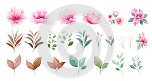 Floral elements vector set. Botanic individual elements of pink and purple flowers, leaf, branch. Botanic illustration for wedding