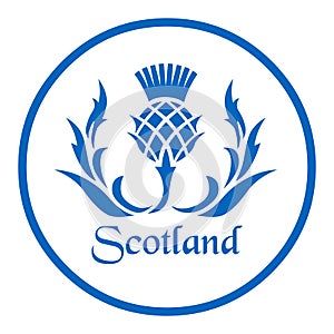 Floral emblem of Scotland, the thistle photo