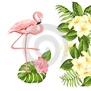Floral exotic natural decoration. Safary summer background with Tropical leaves silhouette, blooming plumeria flowers