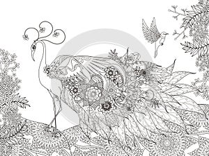 Floral feather peacock coloring page