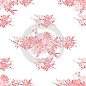 Floral flower cosmos crocus background vector illustration