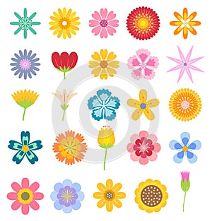 Floral flower elements colorful set