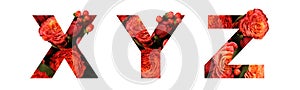 Floral font letter XYZ from a real red-orange roses for bright design. Stylish font of flowers for conceptual ideas photo