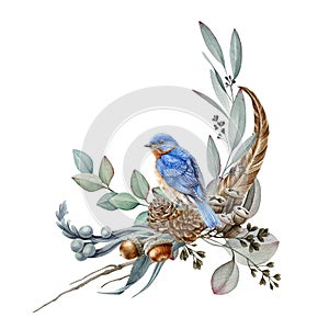 Floral forest arrangement watercolor illustration. Hand drawn elegant rustic decor with natural elements: bluebird, eucalyptus.