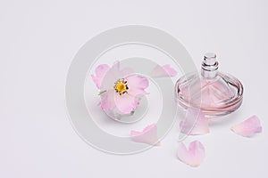 Floral fragrance in a bottle of women`s perfume