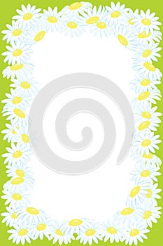 Floral frame background from camomile flower