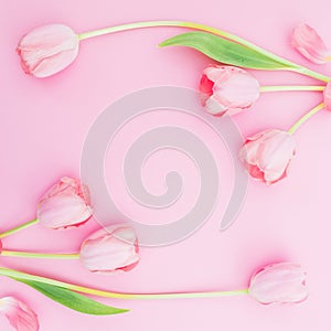 Floral frame background with tulips flowers on pink pastel background. Flat lay, top view. Spring time background.