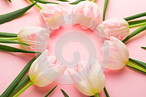 Floral frame background with tulips flowers on pink pastel background. Flat lay, top view. Spring time background