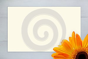 Floral frame with Beautiful yellow gerber daisy flower on vintage white wood background with sheet of paper.