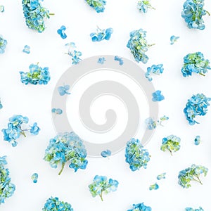 Floral frame of blue hydrangea flowers isolated on white background. Flat lay, top view