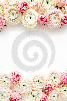 Floral frame borders made of pink ranunculus and roses flower buds on white background. Flat lay, top view floral