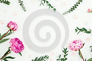 Floral frame composition of pink peonies and eucalyptus branches on white background. Flat lay, top view