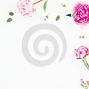 Floral frame composition of pink peony and eucalyptus branches with leaves on white background. Flat lay