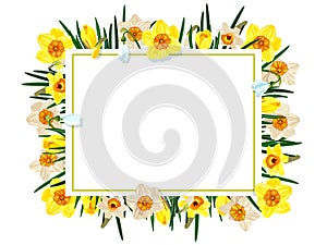 Floral frame with crocuses, daffodils, snowdrops.