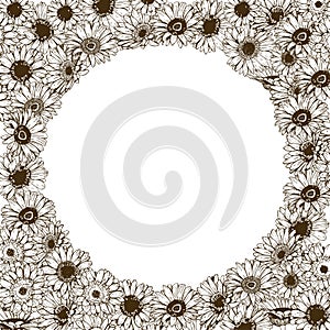 Floral frame of detailed hand drawn daisies flowers. Vector illustration.