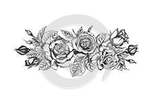 Floral frame. Hand drawn sketch of roses, leaves and branches Detailed vintage botanical illuatration