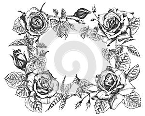 Floral frame. Hand drawn sketch of roses, leaves and branches Detailed vintage botanical illuatration