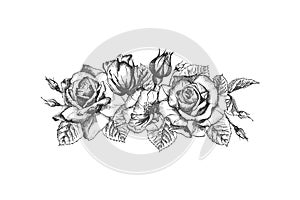 Floral frame. Hand drawn sketch of roses, leaves and branches Detailed vintage botanical illuatration