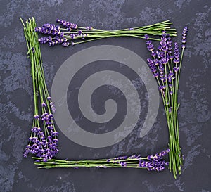 Floral frame of lavender on a black background.