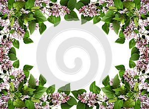Floral frame with lilac flowers and leaves