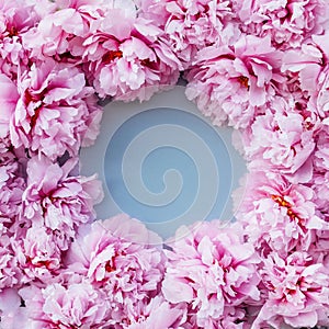 Floral frame made with beatiful fresh pink peonies in full bloom.