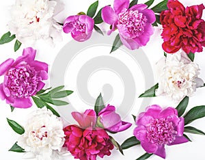 Floral frame made of pink and white peony flowers and leaves isolated on white background. Flat lay.