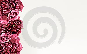 Floral frame made of purple peony tulips flowers on white background. Flat lay, Top view