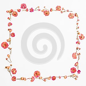 Floral frame made of roses buds on white background. Valentines day composition. Flat lay, Top view