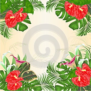 Floral frame natural background with blooming lilies Cala and anthurium, palm,philodendron and ficus vector Illustration