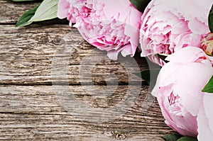 Floral frame with pink peonies