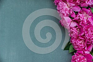 Floral frame with pink peonies flowers on grey background. Selective focus, place for text, top view