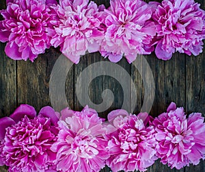 Floral frame with pink peonies flowers on wood background. Selective focus, place for text, top view