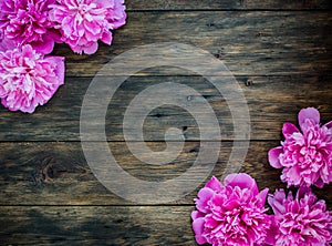 Floral frame with pink peonies flowers on wood background. Selective focus, place for text, top view