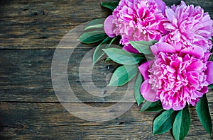 Floral frame with pink peonies flowers on wood background. Selective focus, place for text, top view