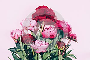 Floral frame. Pink peonies with hard shadow on pastel background, copy space. Trendy pattern, summer concept. Top view