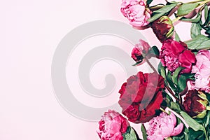 Floral frame. Pink peonies with hard shadow on pastel background, copy space. Trendy pattern, summer concept. Top view