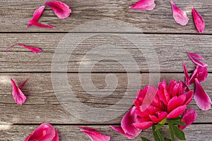 Floral frame with pink peonies on wooden background