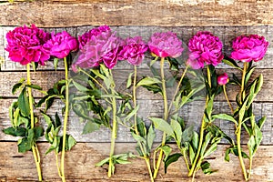 Floral frame with pink peonies on wooden background