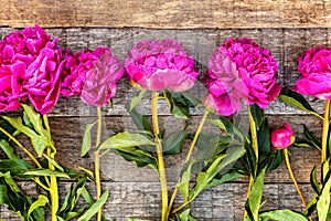 Floral frame with pink peonies on wooden background