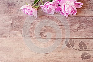 Floral frame with pink peonies on wooden background. Styled marketing photography. Copy space.