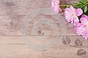 Floral frame with pink peonies on wooden background. Styled marketing photography. Copy space. Wedding, gift card