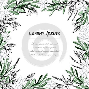 Floral frame for text from white and green leaves. Postcard for congratulations and invitations with flowers. Vector illustration