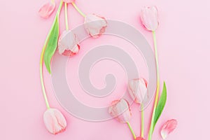 Floral frame with tulips flowers on pink background. Flat lay, top view. Spring time background with copy space