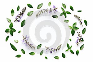 Floral Frame On White Background