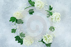 Floral frame with white hydrangea on gray background. Flat lay, Top view